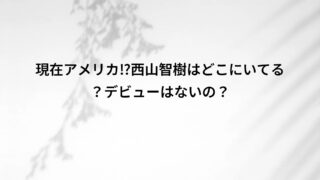 現在アメリカ⁉西山智樹はどこにいてる?デビューはないの?