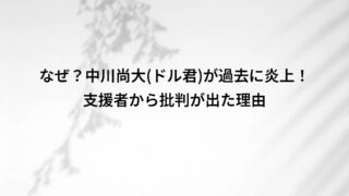 なぜ?中川尚大(ドル君)が過去に炎上!支援者から批判が出た理由