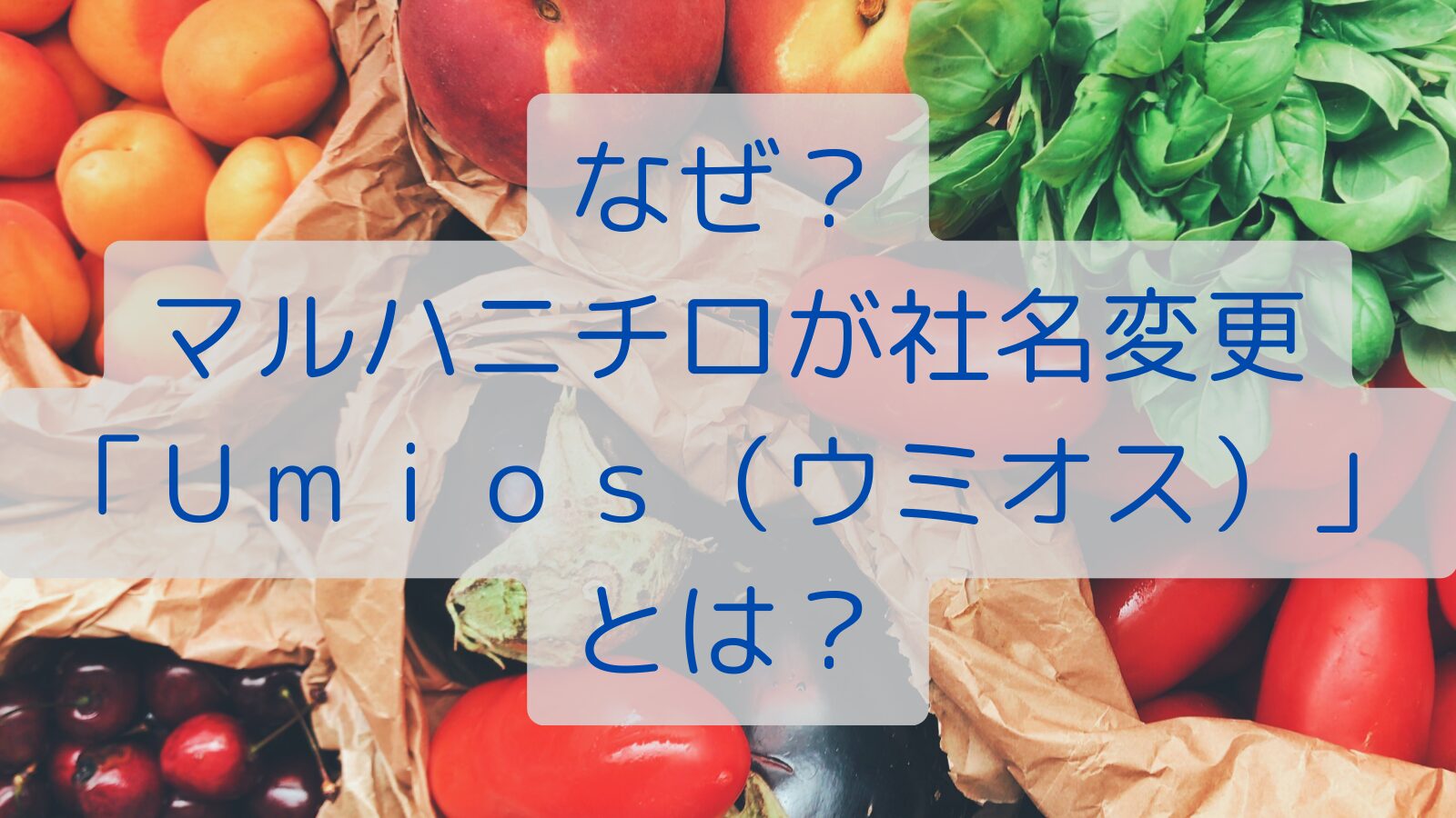 なぜ？マルハニチロが社名変更「Ｕｍｉｏｓ（ウミオス）」とは？