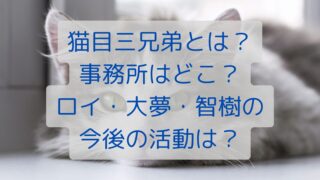 猫目三兄弟とは？事務所はどこ？ロイ・大夢・智樹の今後の活動は？